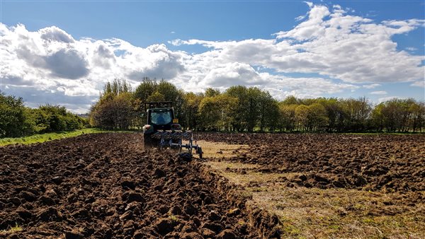 Preparing the fields to sow flowers and grasses for wildlife