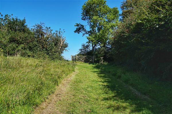 Dunsdon Farm field path