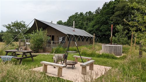 Middle Stone Farm Glamping