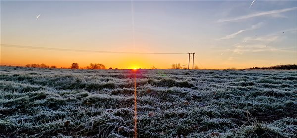 frosty sunrise