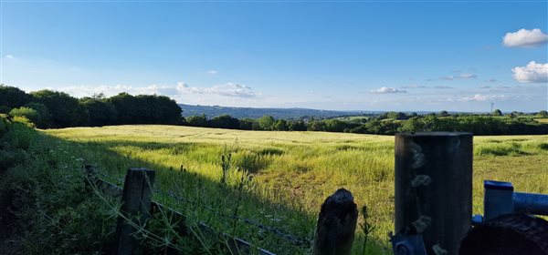 views over the field