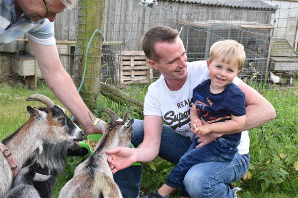 goat feeding at Hoe Grange farm 