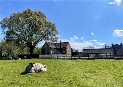 Broadgate Farm Cottages