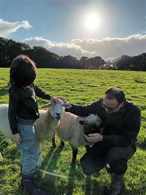 Meeting the friendly sheep