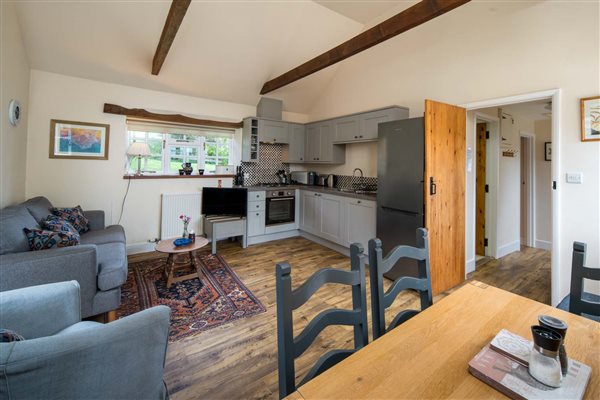 Kitchen dining and living area