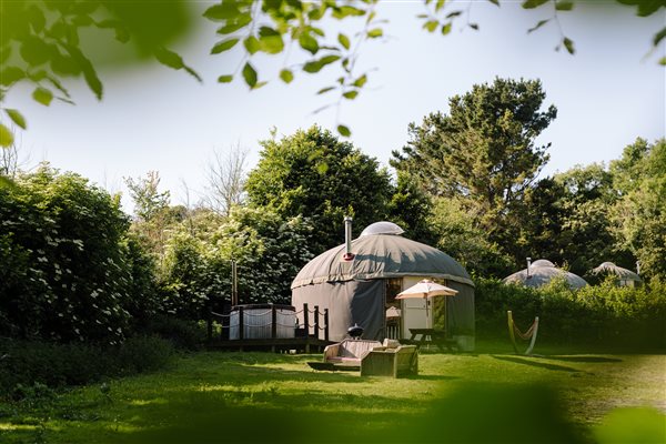 Yurt field