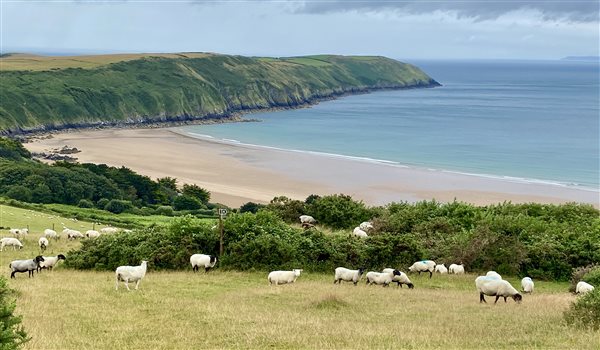 Pickwell Barton North Devon