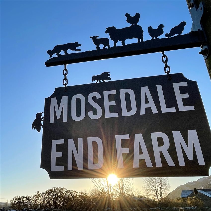 Mosedale End Farm B&B | Farm Stay