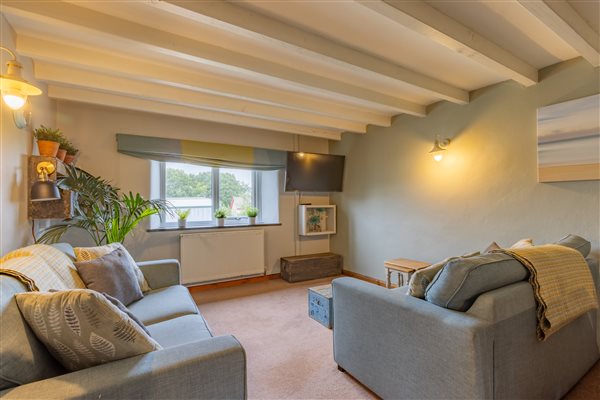 Millhouse Barn - Living Room 