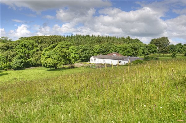 Whitewashed cottage set in grass fields and woodland