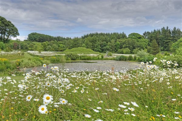 Wildflower meadow in bloom with pond and snail mound