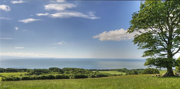 Sea views overlooking grass farm fields with trees