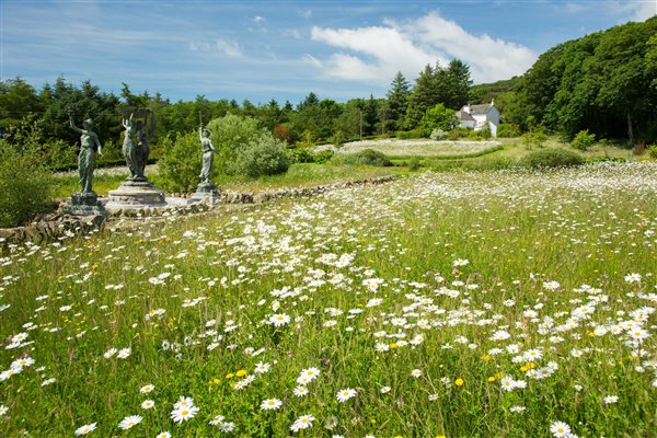 Cottage with woodland behind and wildflower meadow and statues in front