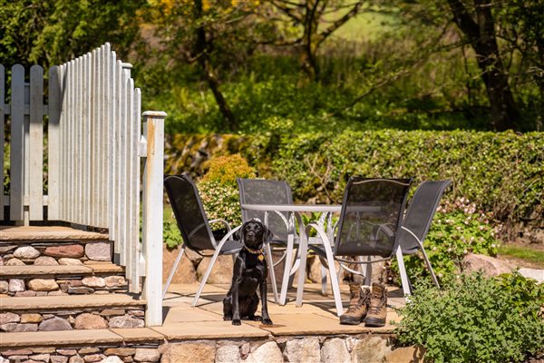 Patio with garden furniture and barbecue