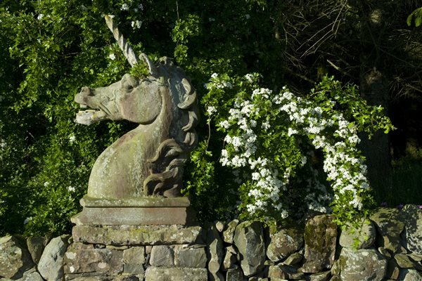 Stone unicorn statue with hawthorn tree in flower