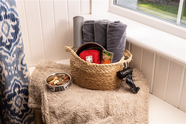 Welcome hamper for dogs