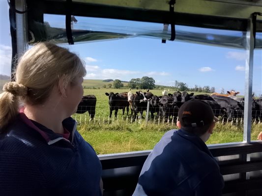 Book a Farm Trailer Tour whilst you are with us