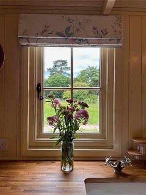 flowers in window