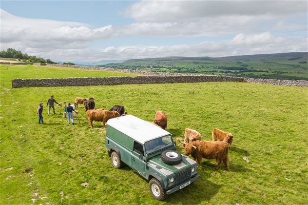 Farm tour