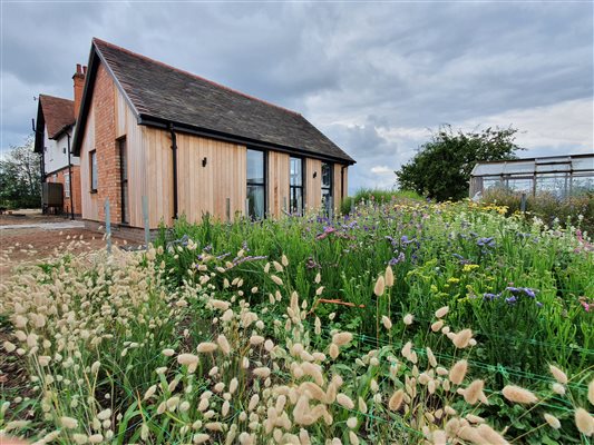 View from the cutting garden