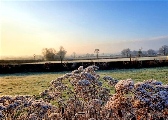 View from window on a frosty morning