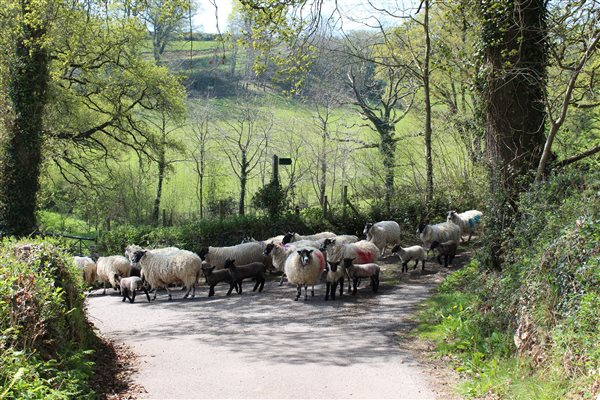 farm stay uk