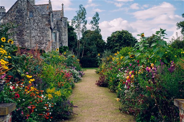 Cadhay house double herbaceous border